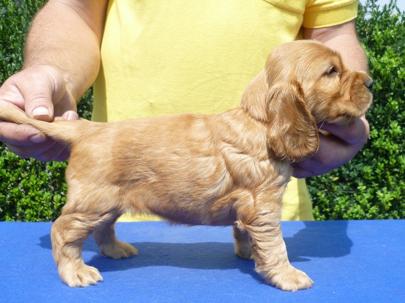 10. Gina pod Ořechem-červená.JPG